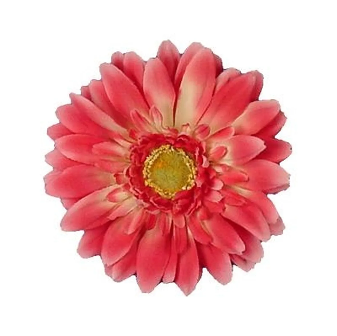gerbere rosse-1