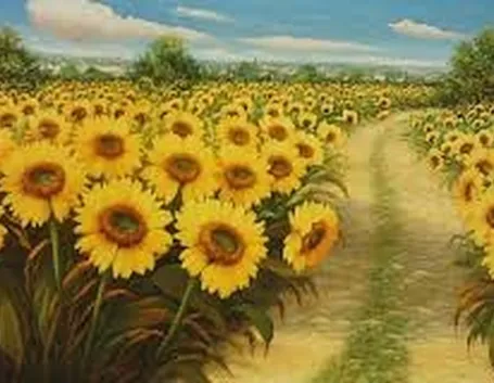 Girasole-25