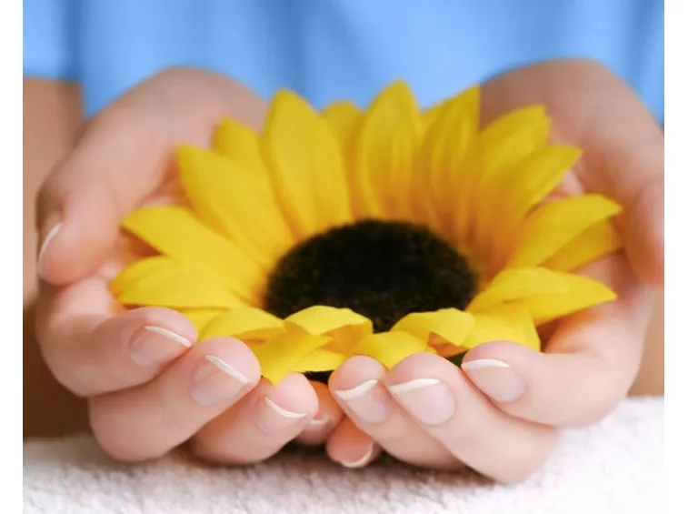 Il fiore del girasole
