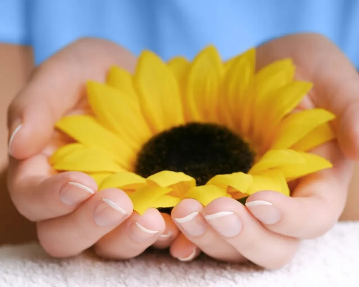 Il fiore del girasole