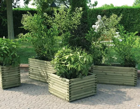 immagini mazzo di fiori
