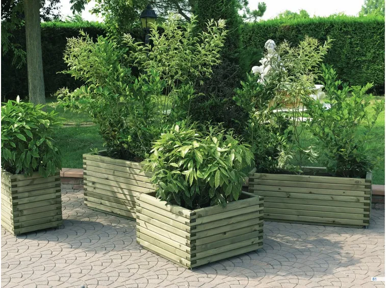immagini mazzo di fiori