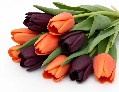 inviare fiori-13
