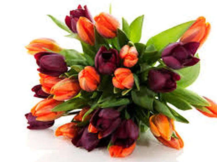 inviare fiori-13