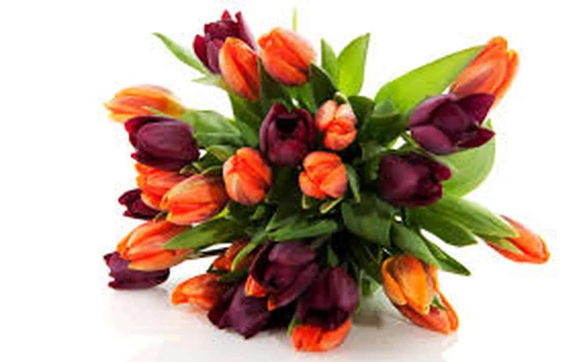 inviare fiori-13