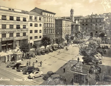 invio fiori Ancona