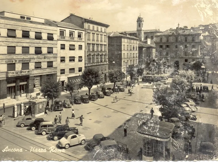 invio fiori Ancona