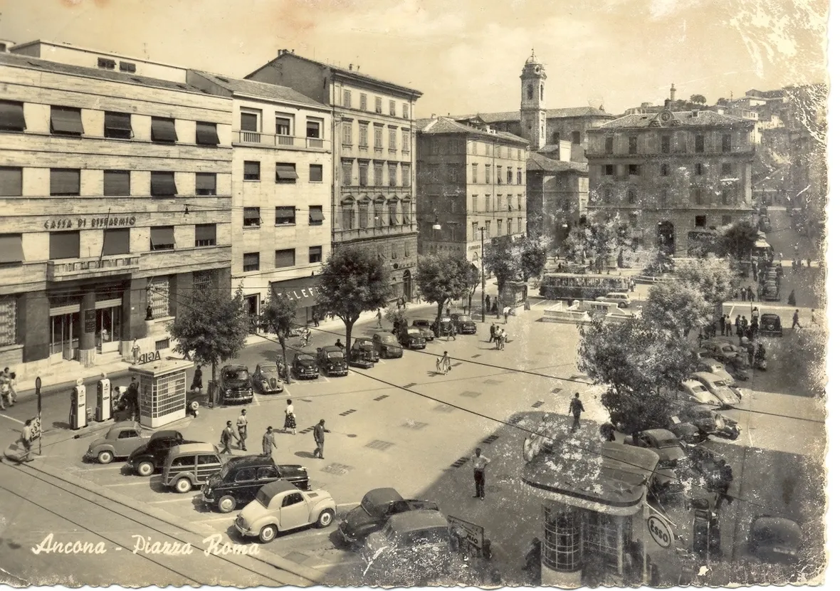 invio fiori Ancona