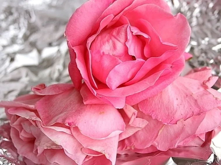 invio fiori per anniversario-3