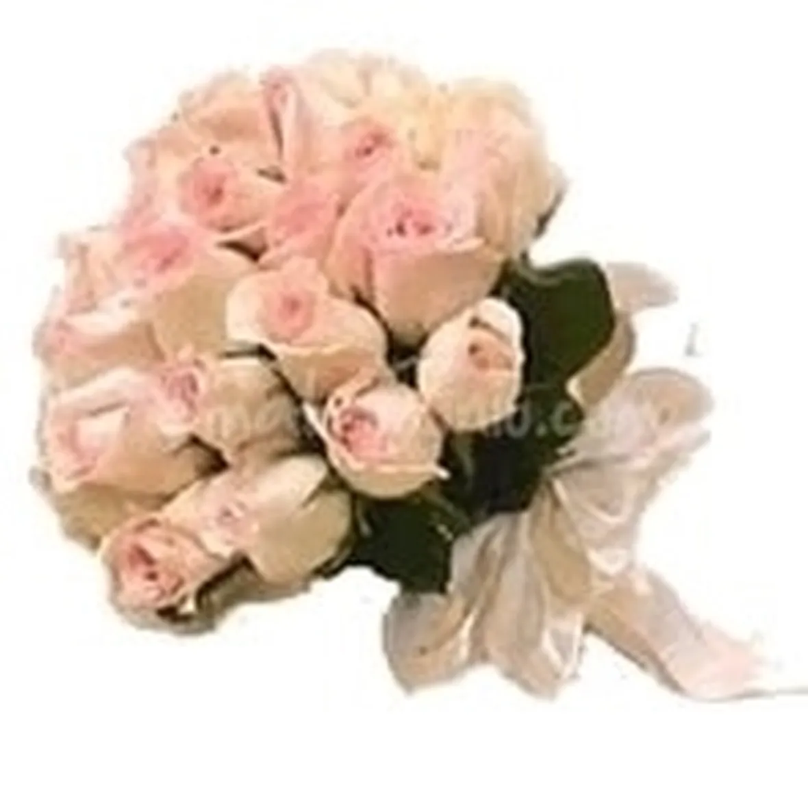 invio fiori per auguri-3