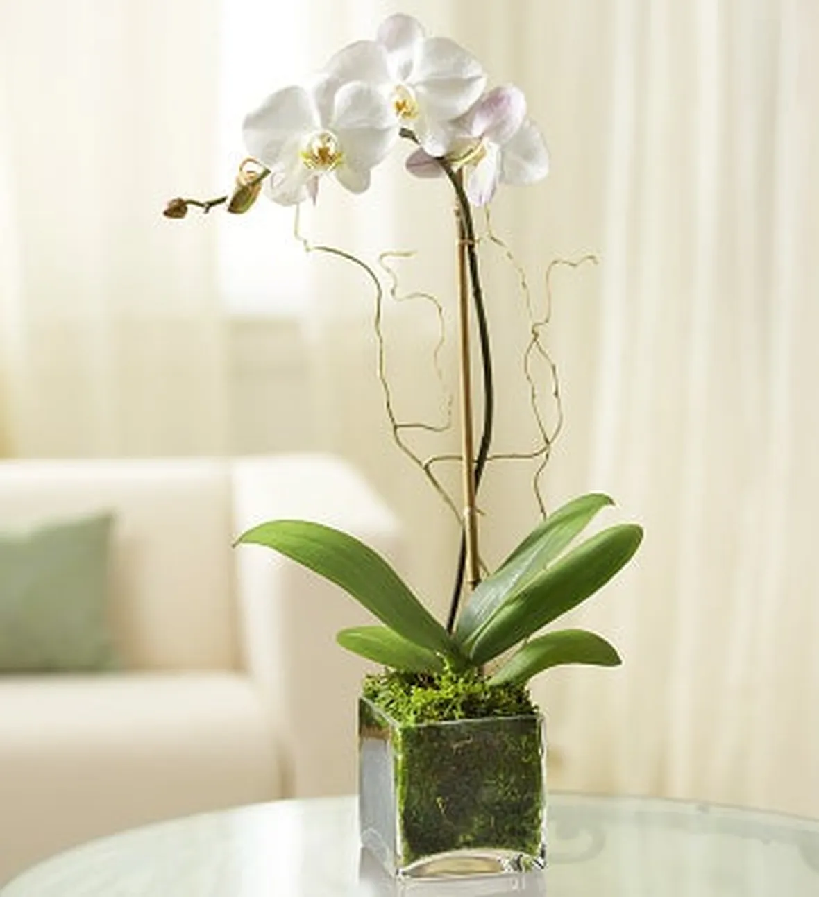 invio fiori per battesimo-6
