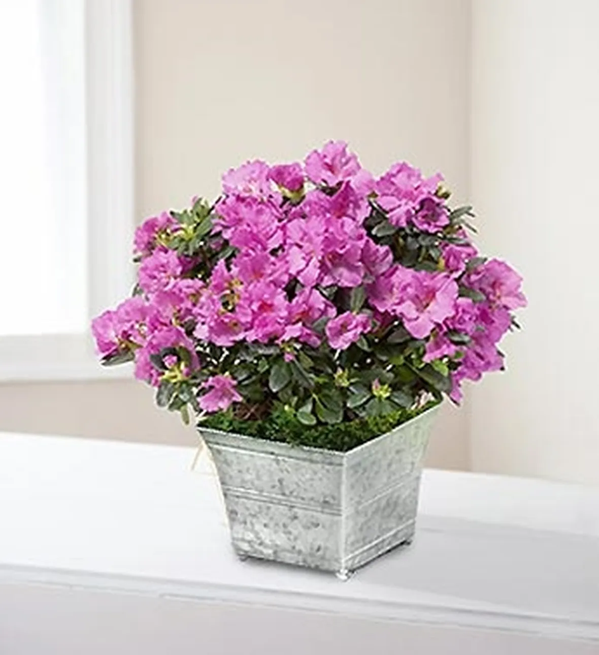 invio fiori per compleanno-1