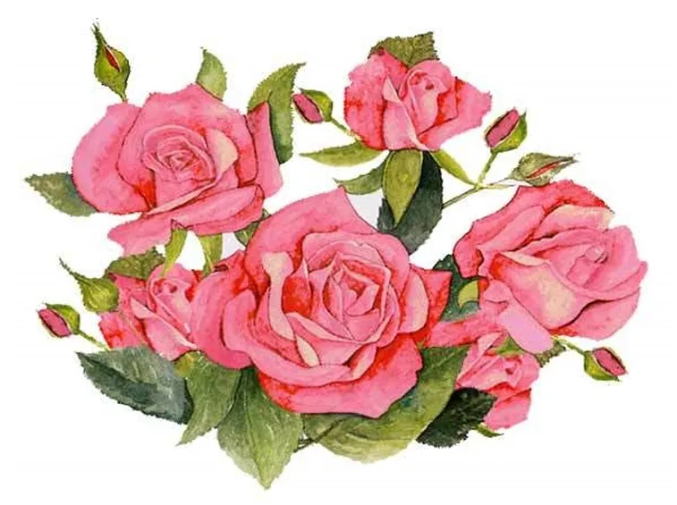 invio fiori per compleanno-7