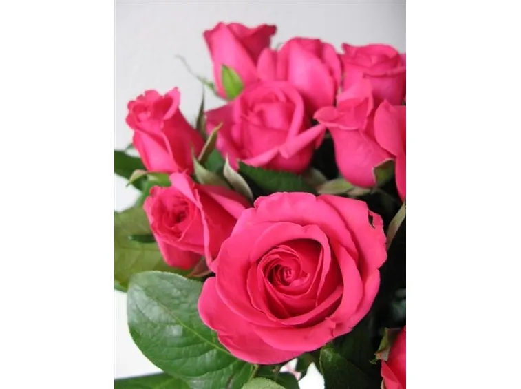 invio fiori per condoglianze