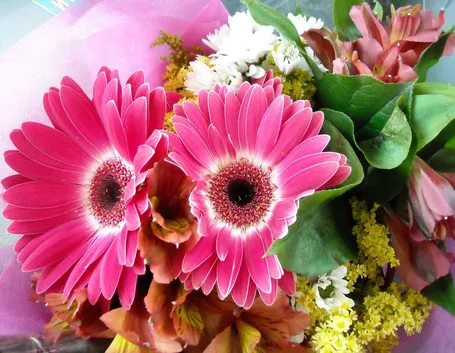 invio fiori per congratulazioni-6