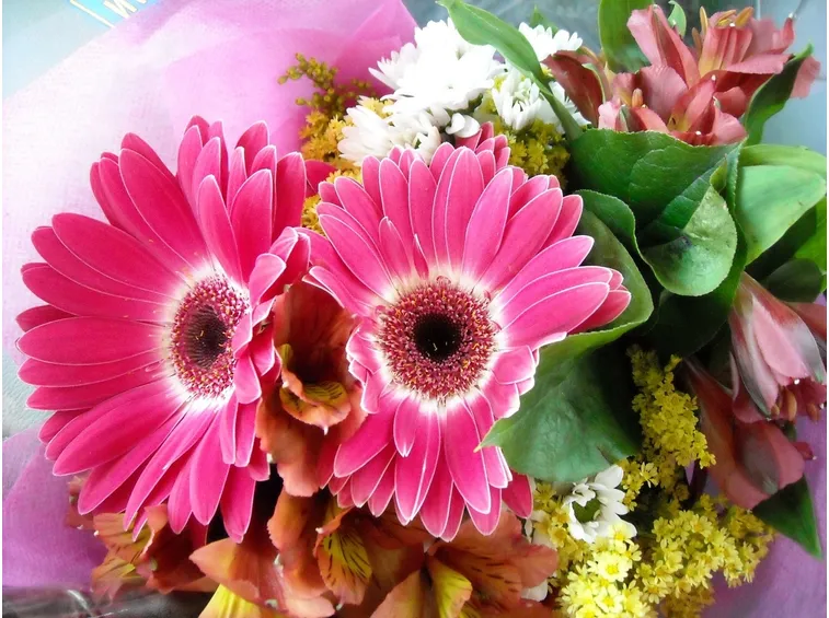 invio fiori per congratulazioni-6