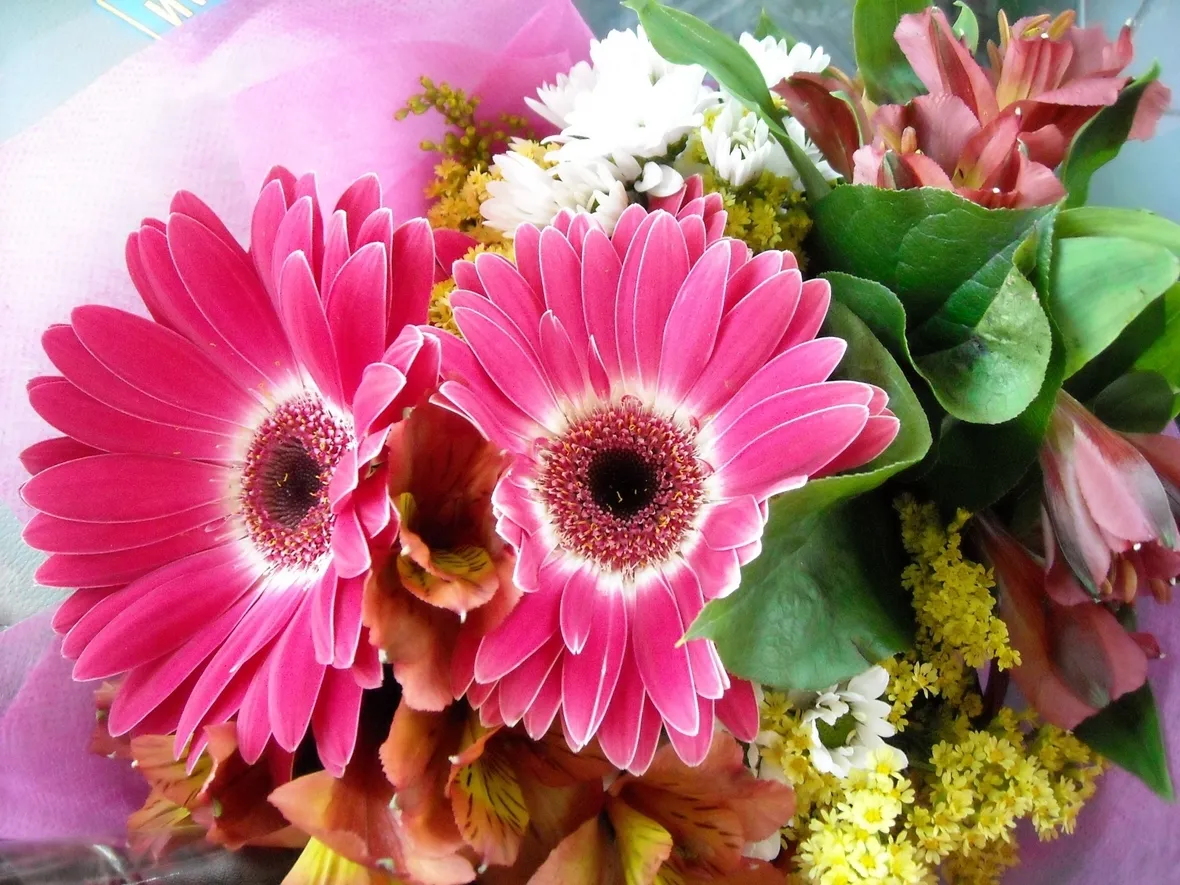 invio fiori per congratulazioni-6