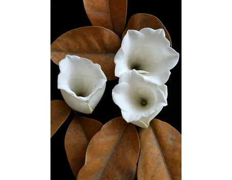 invio fiori per dirti che?-2