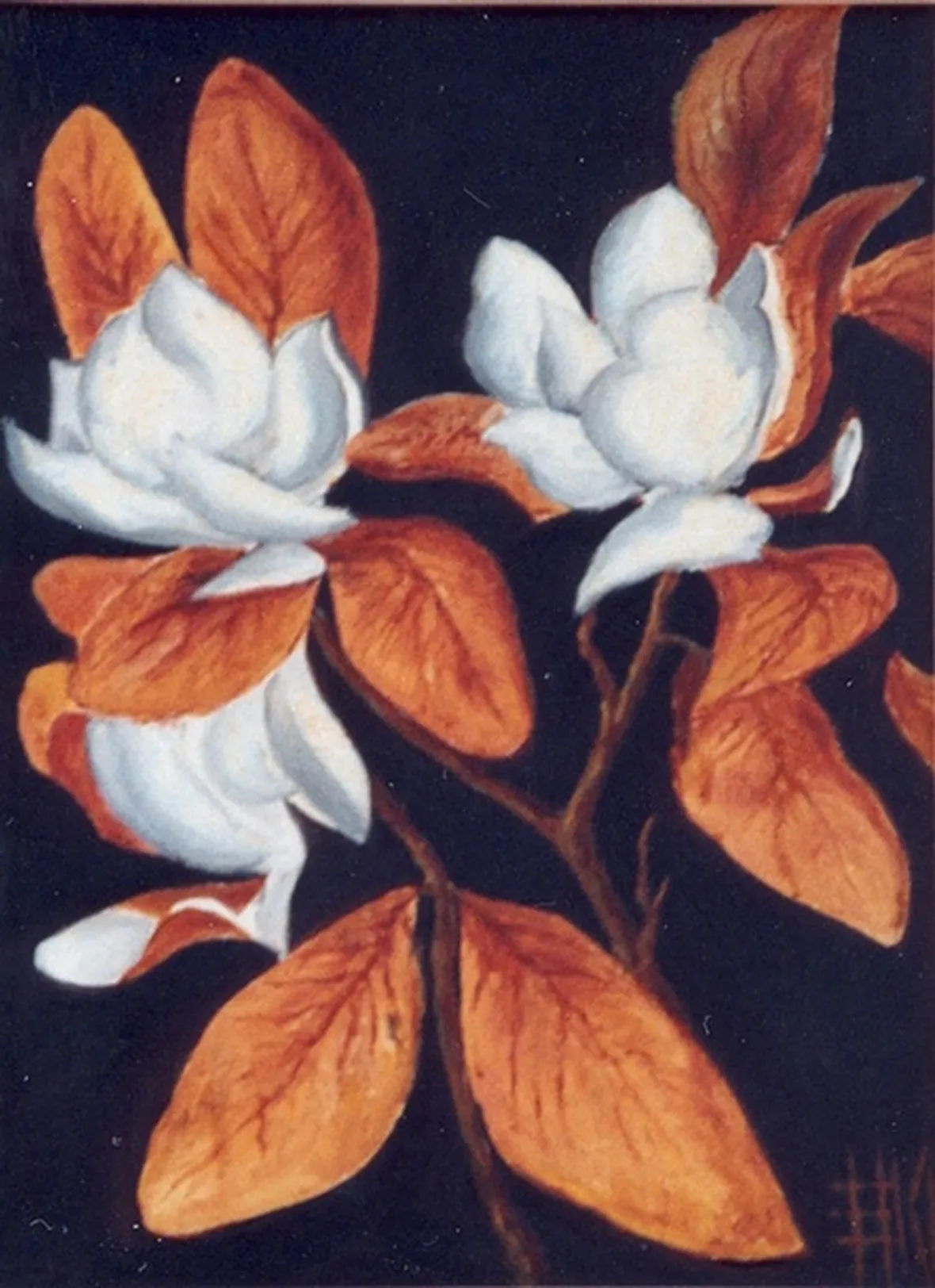 invio fiori per dirti che?-2