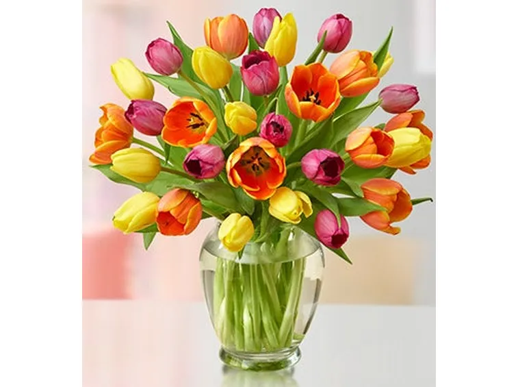 invio fiori per fiocco rosa-6