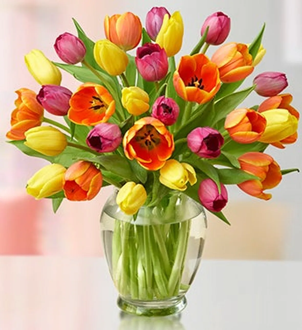 invio fiori per fiocco rosa-6