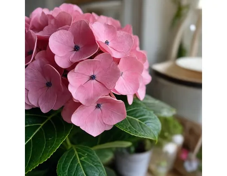 invio fiori per nozze-1