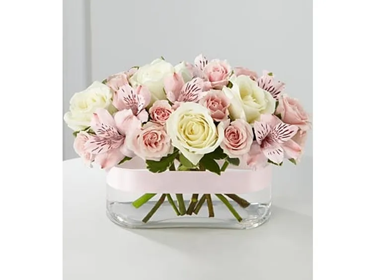 La rosa, il fiore dai mille significati: uno per ogni colore