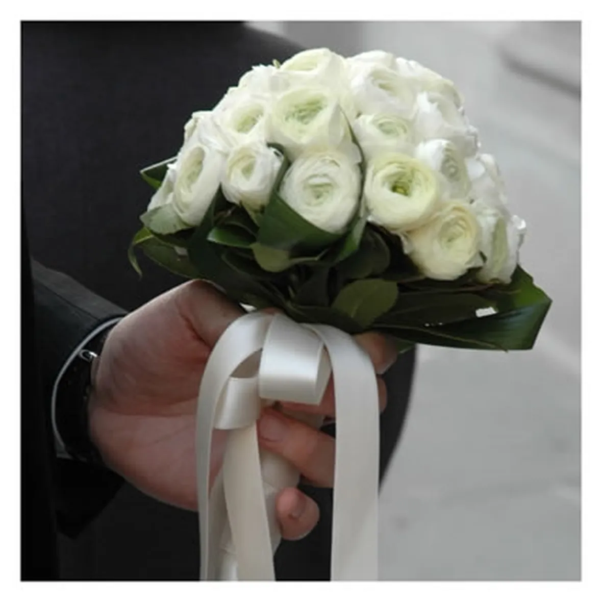lysianthus bianche-1