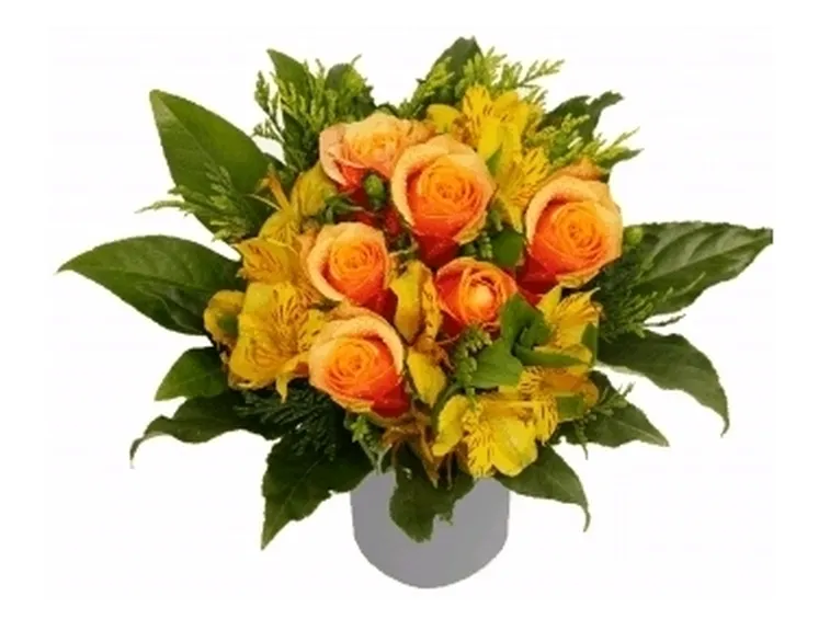 mazzi arancio