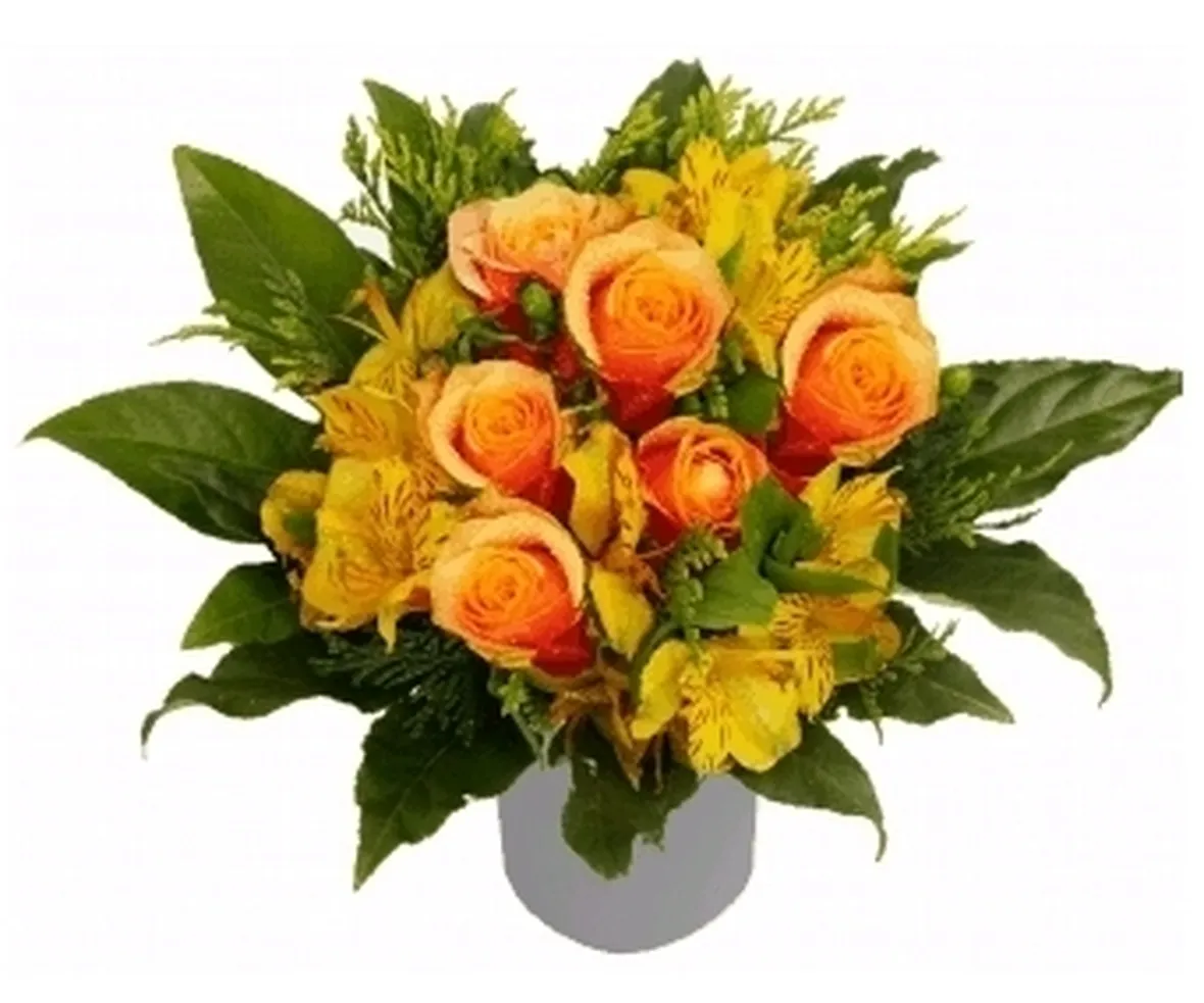mazzi arancio