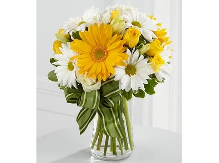 mazzi di tulipani bianche