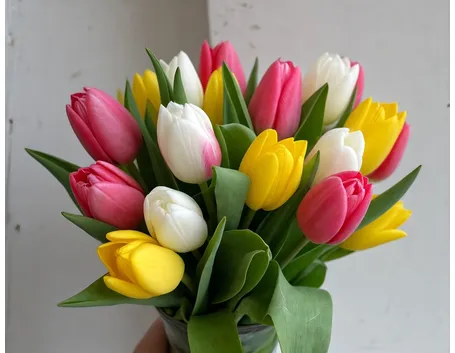 mazzi di tulipani misti-1