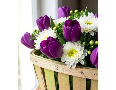 mazzi di tulipani viola