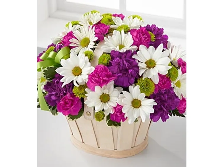 mazzi di tulipani viola