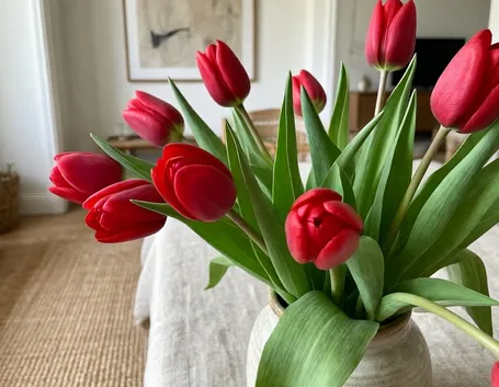 mazzi di tulipani
