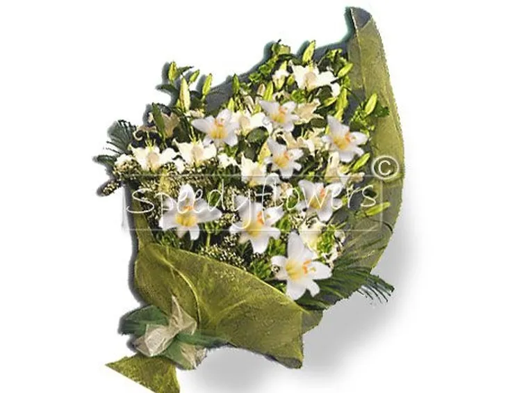 mazzi fiori bianchi