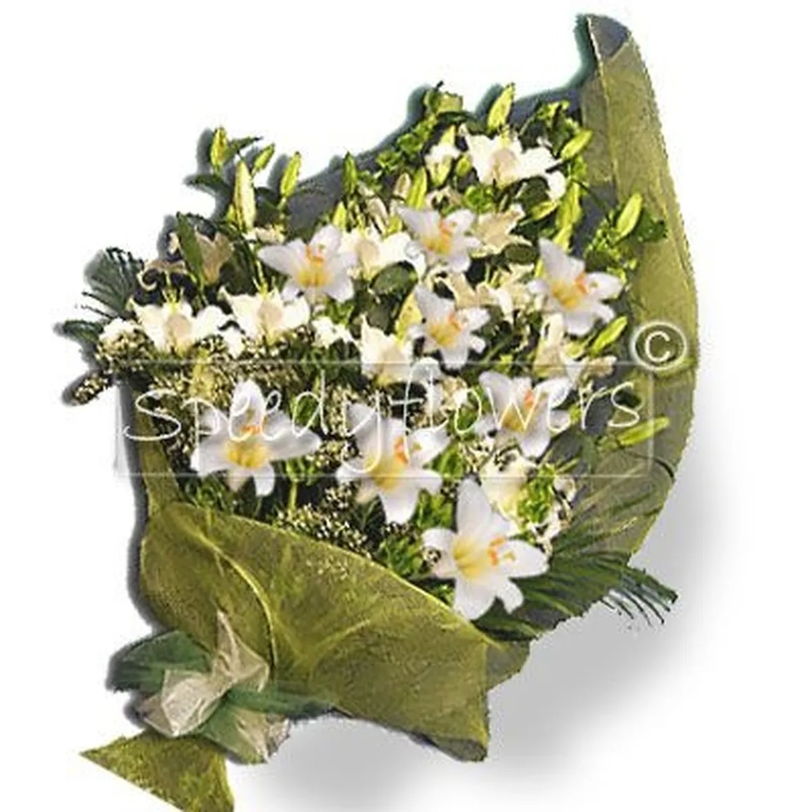 mazzi fiori bianchi