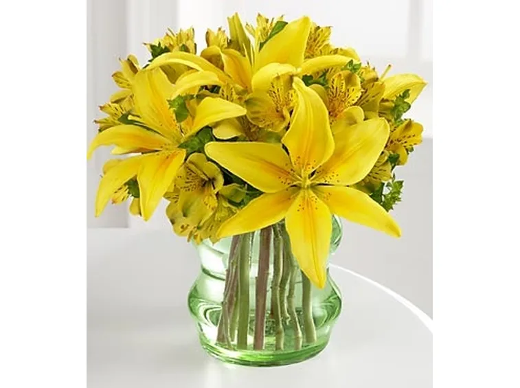 mazzi giallo-1