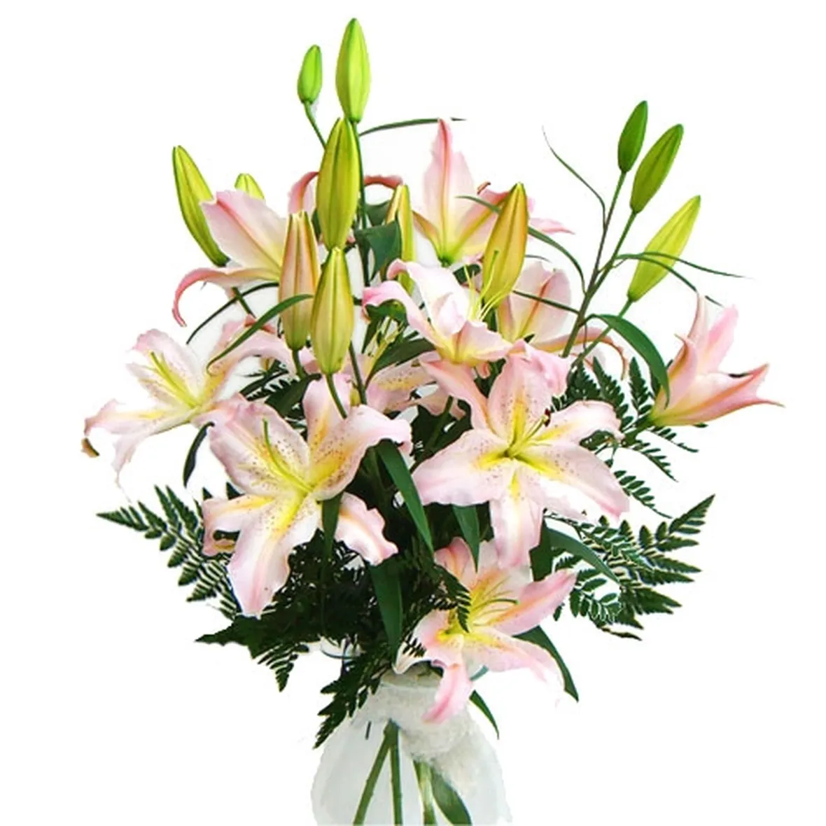 mazzi lilium-1