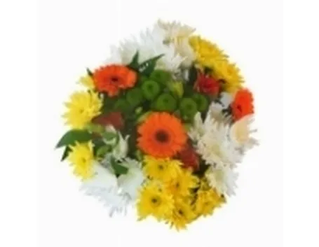 mazzi per congratulazioni-4