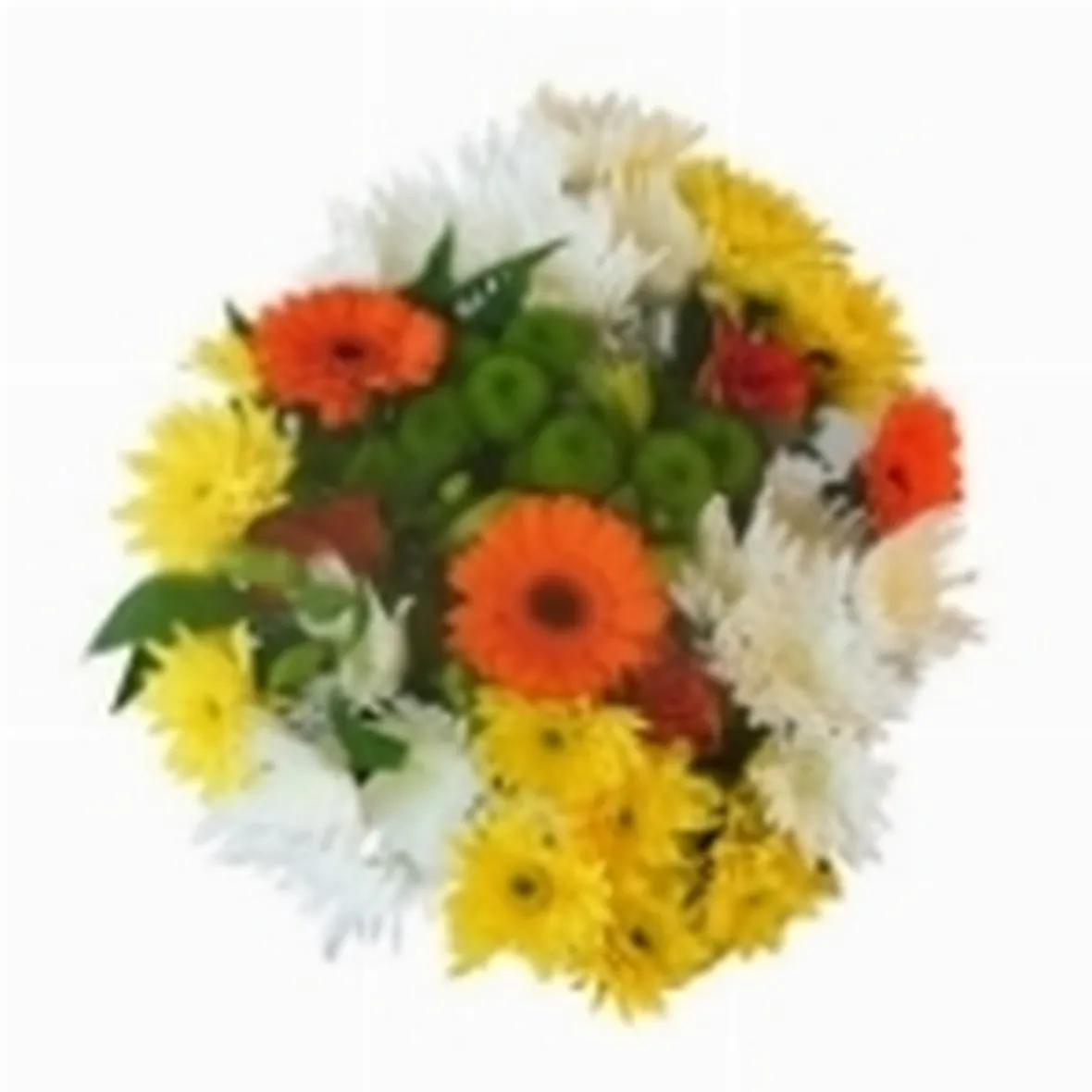 mazzi per congratulazioni-4
