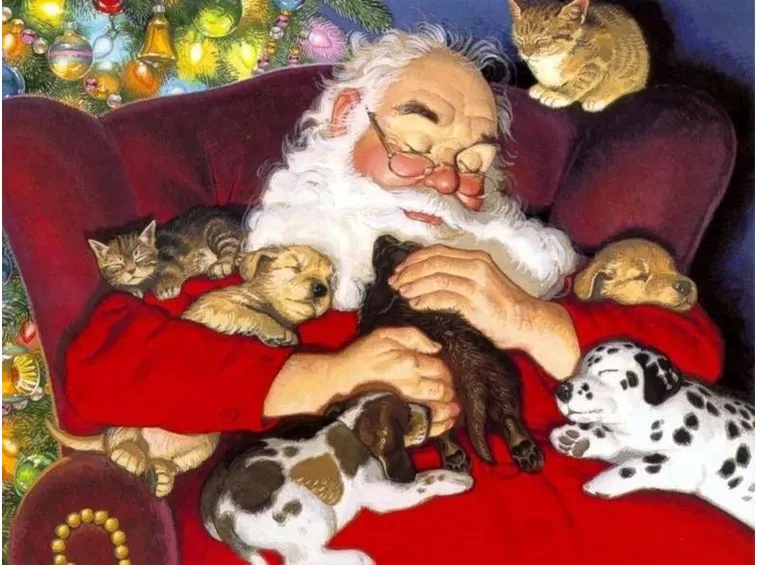 mazzi per natale-6