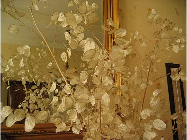 mazzi per nozze-3
