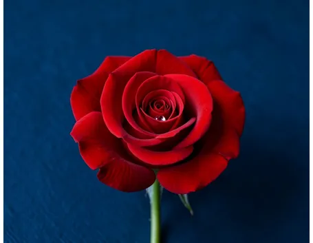 mazzi per san valentino-1