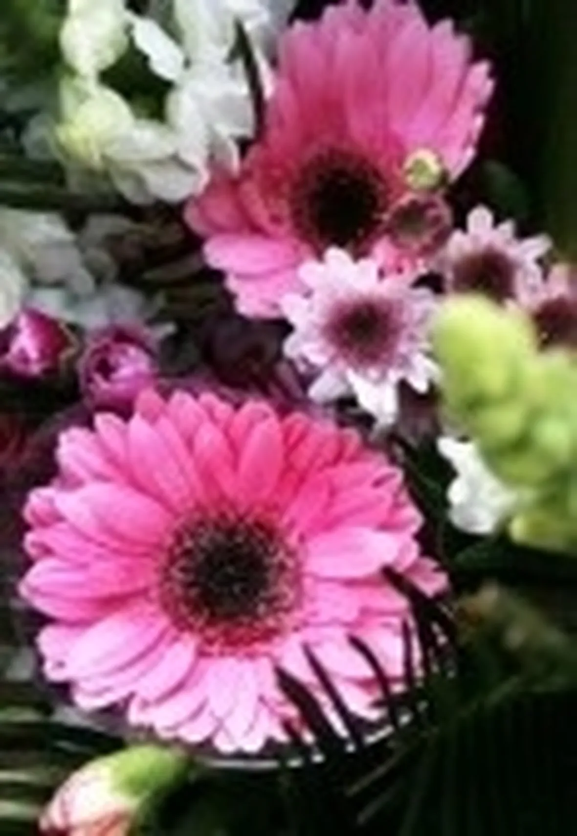 mazzi rosa e viola