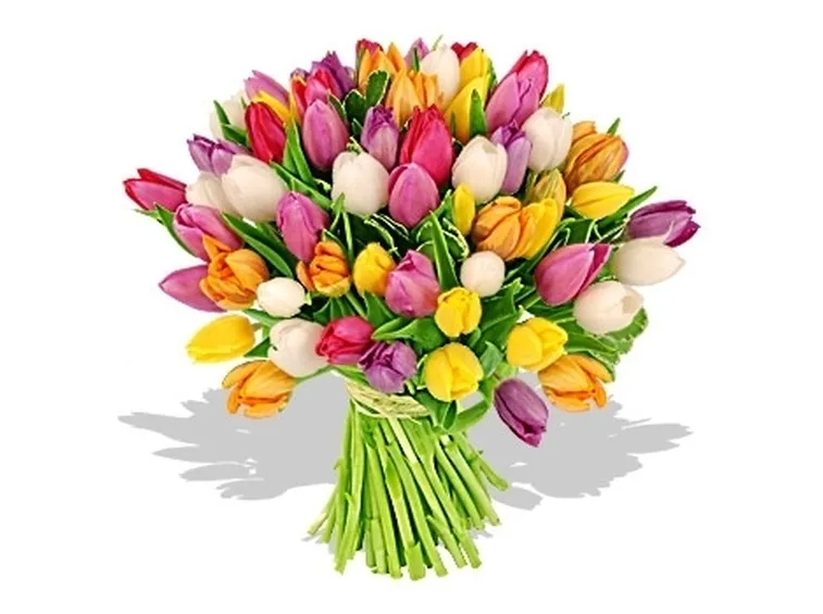 mazzi speciale rose biacnhe