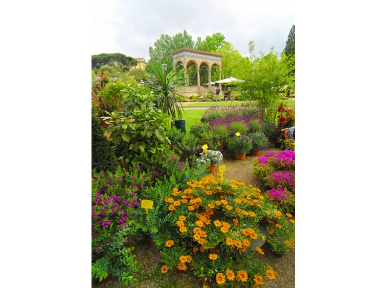 piante e fiori