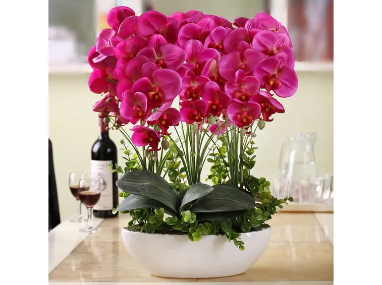 Conoscere piante e fiori