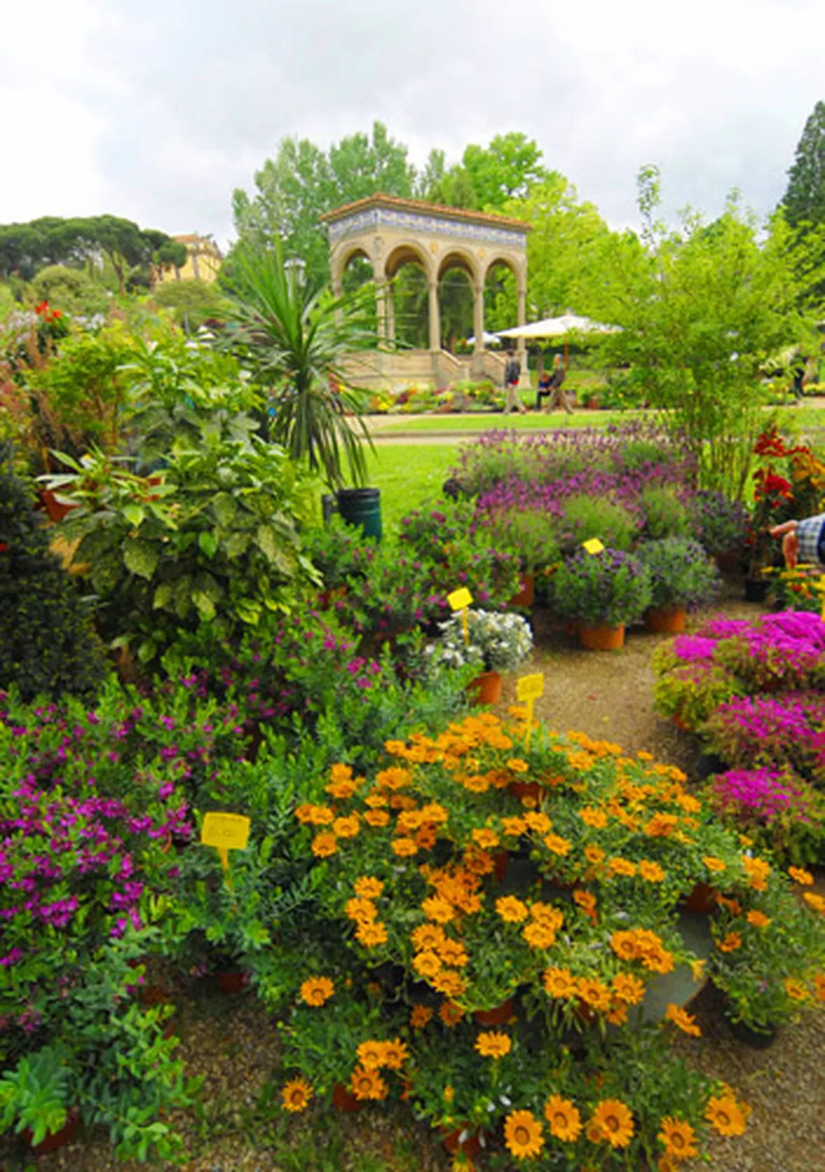 piante e fiori