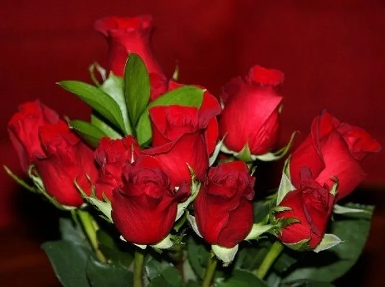 Risposta: lo sciroppo di rose